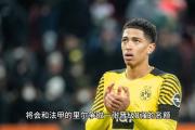 华体会体育APP下载-多特蒙德本赛季状态低迷，需尽快反弹才能保级