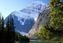 华体会官方入口-尼日利亚女足主帅公布战术调整