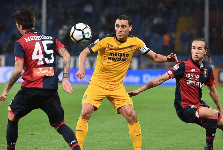 雷恩主场告捷，法甲冲刺在即的简单介绍