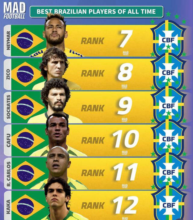 巴西排球队势如破竹,夺得冠军历程 巴西排球队势如破竹,夺得冠军历程