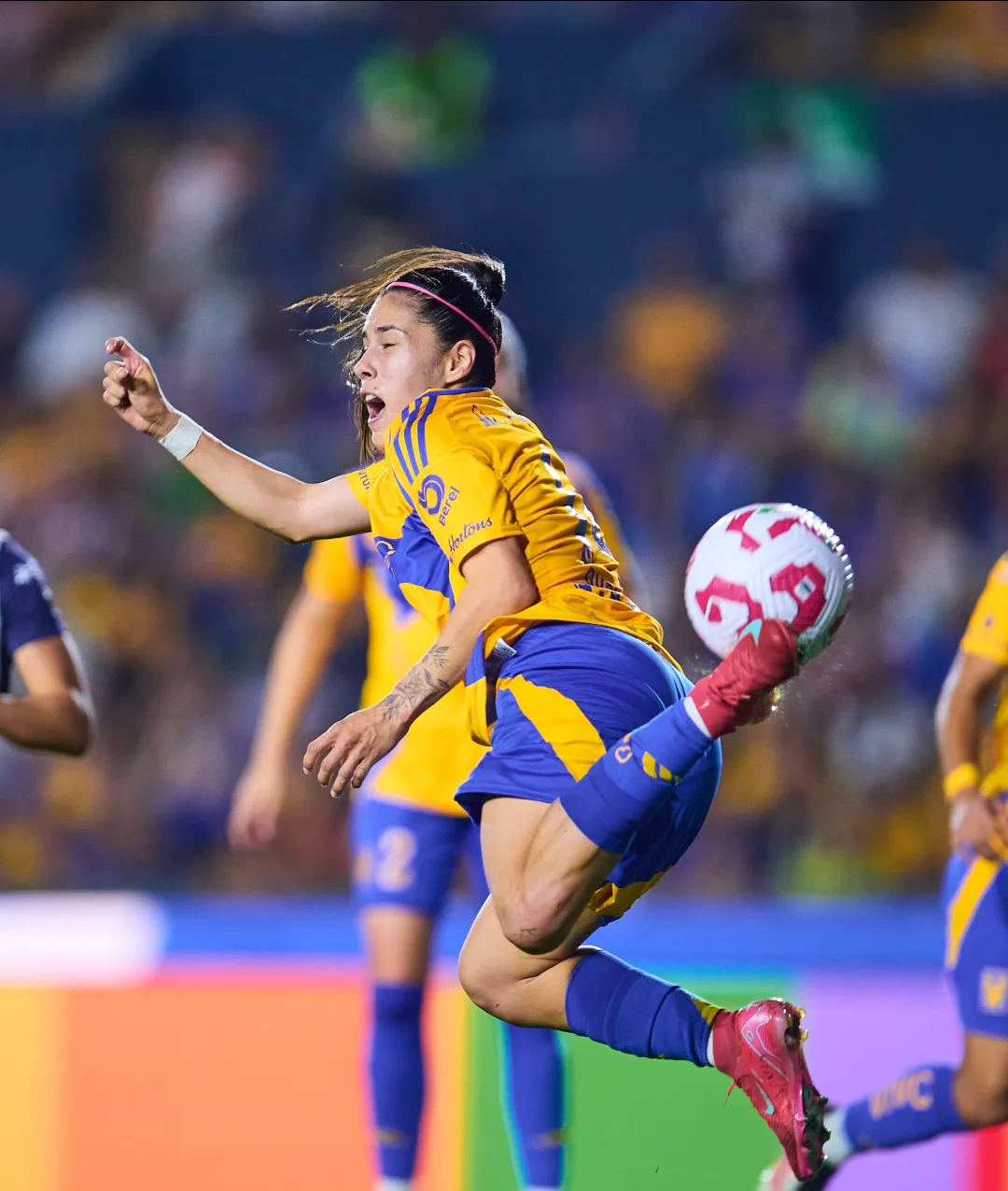 世界各国女足联赛汇聚一堂，呈现充满活力的简单介绍