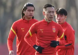 汉诺威全队努力拼搏，取得令人鼓舞的胜利